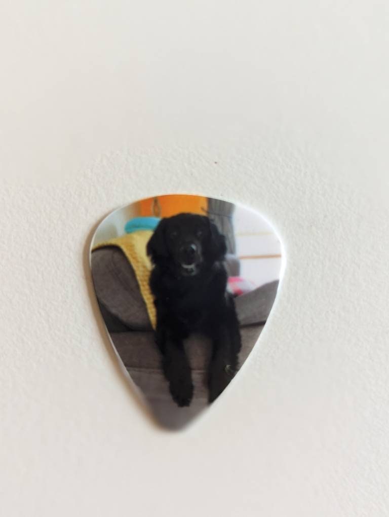 Personalised Plectrum | Guitar Picks | Photo OR Text |