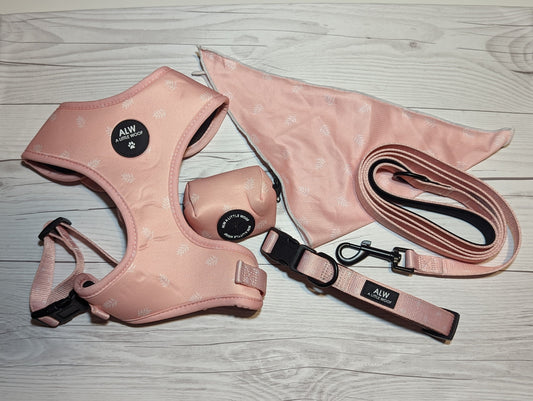Baby Pink Leaf Harness Set | Dog Accessories | Adjustable | Sizes S and M |